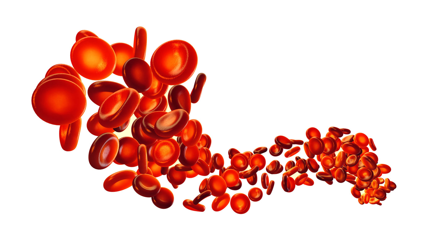 Magnesium RBC