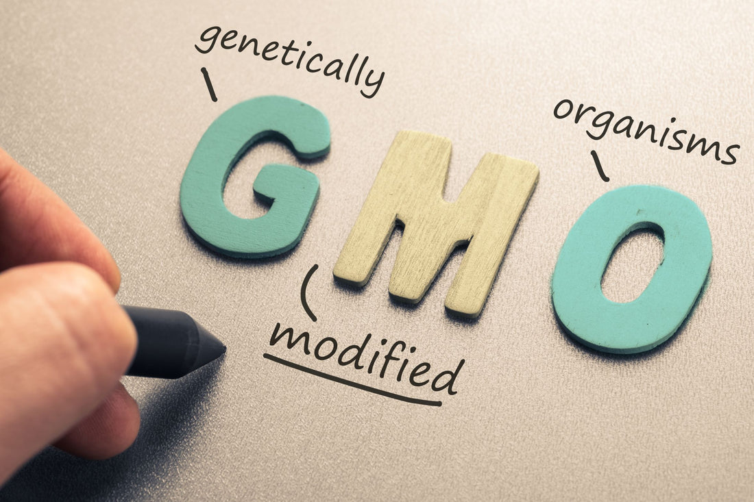 GMOs and Leaky Gut