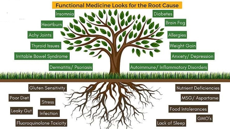Looking for Functional Medicine?